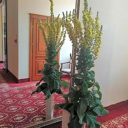 Hotel Plock فندق
