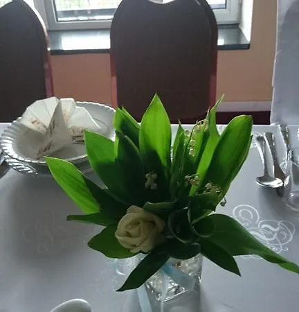 Hotel Hotel Plock 3*