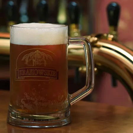 Hotel Plock 3* Płock