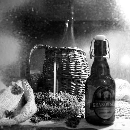 Hotel Plock Hotel Płock