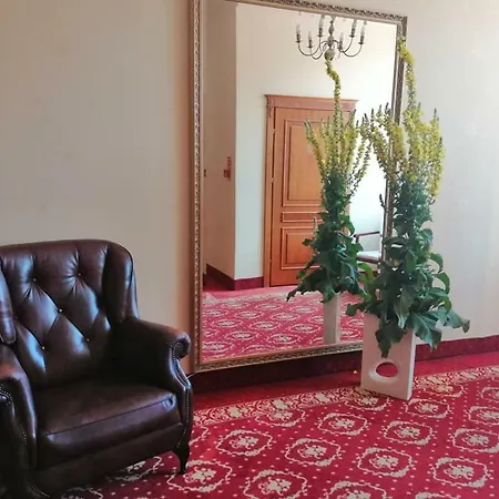 Hotel Plock 3* بوتسك