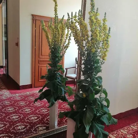 فندق Hotel Plock 3*