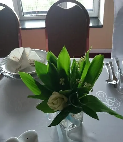 Hotel Hotel Plock 3*