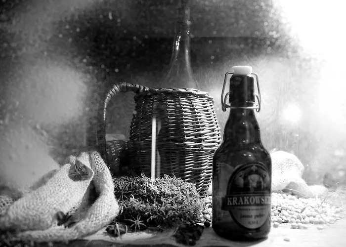 Hotel Plock Hotel Płock